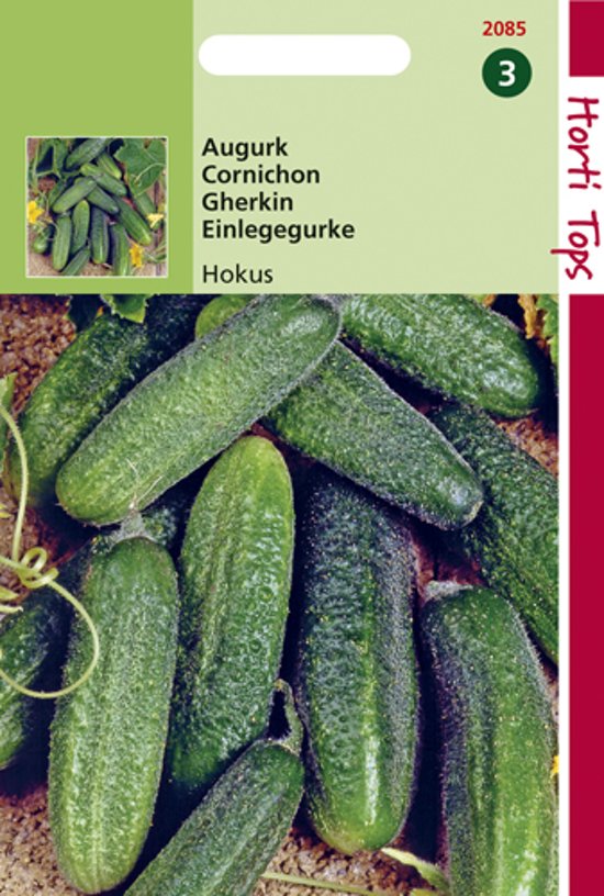 Gherkin Hokus (Cucumis) 70 seeds HT